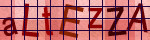 Image text